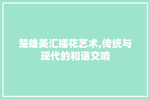 楚雄美汇插花艺术,传统与现代的和谐交响 植物养护