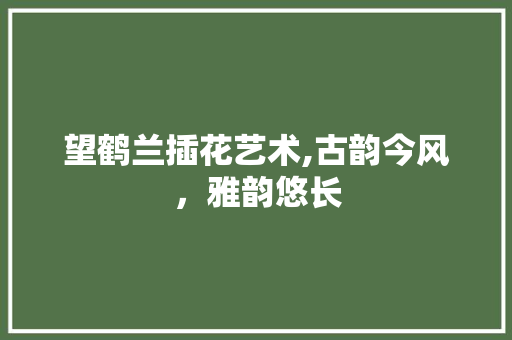 望鹤兰插花艺术,古韵今风，雅韵悠长 花卉