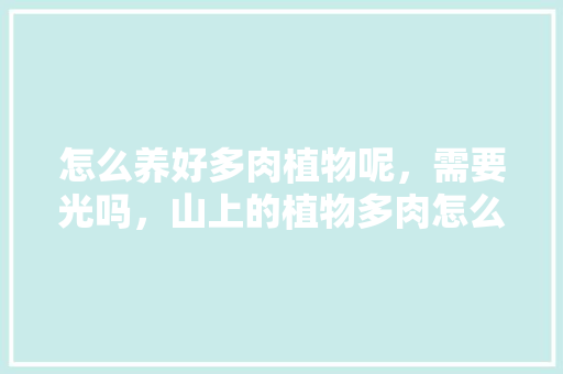 怎么养好多肉植物呢，需要光吗，山上的植物多肉怎么养护好。  第1张 怎么养好多肉植物呢，需要光吗，山上的植物多肉怎么养护好。 树木