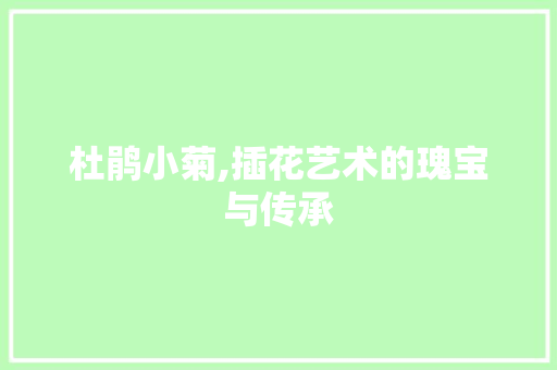 杜鹃小菊,插花艺术的瑰宝与传承