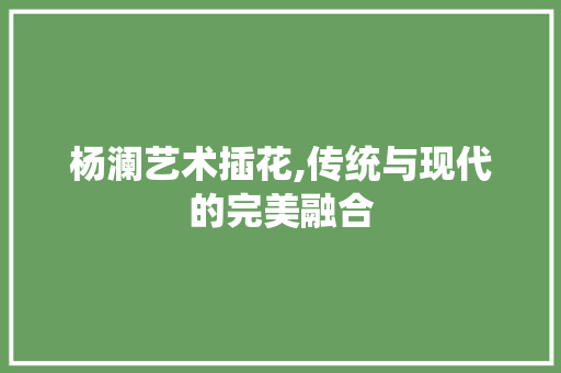 杨澜艺术插花,传统与现代的完美融合