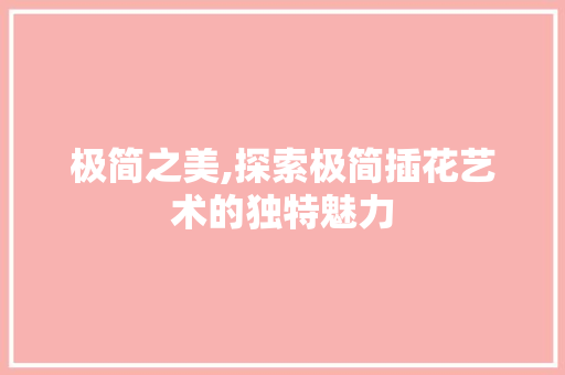 极简之美,探索极简插花艺术的独特魅力 植物栽培