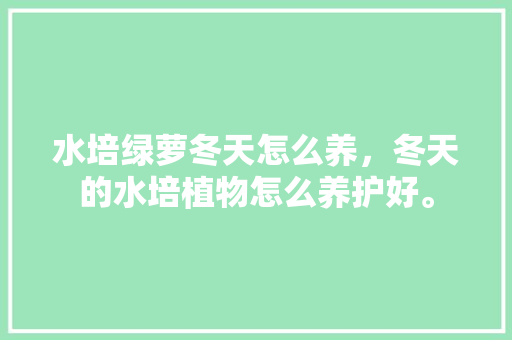 水培绿萝冬天怎么养，冬天的水培植物怎么养护好。  第1张 水培绿萝冬天怎么养，冬天的水培植物怎么养护好。 植物养护