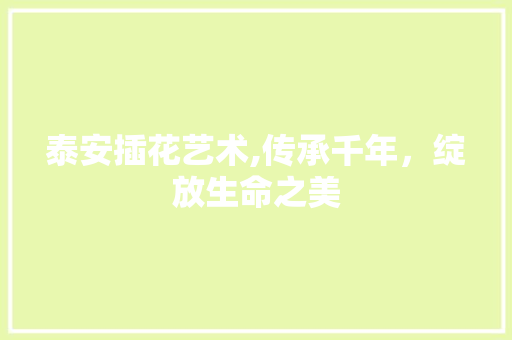 泰安插花艺术,传承千年，绽放生命之美