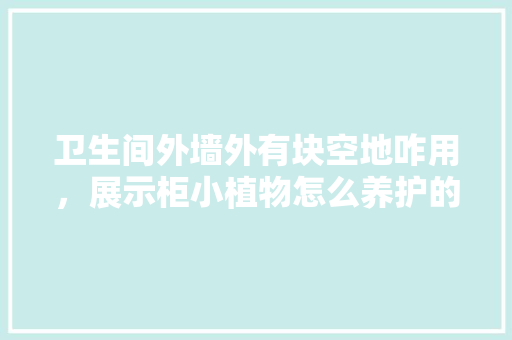 卫生间外墙外有块空地咋用，展示柜小植物怎么养护的呢。