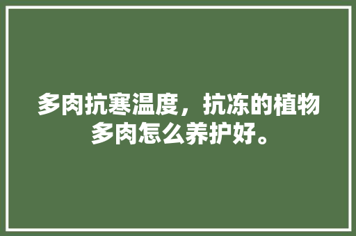 多肉抗寒温度，抗冻的植物多肉怎么养护好。