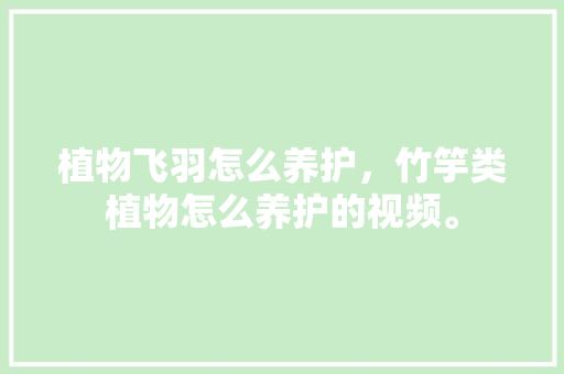 植物飞羽怎么养护，竹竽类植物怎么养护的视频。