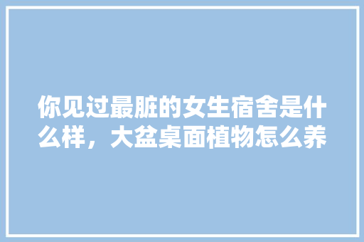 你见过最脏的女生宿舍是什么样，大盆桌面植物怎么养护的呢。