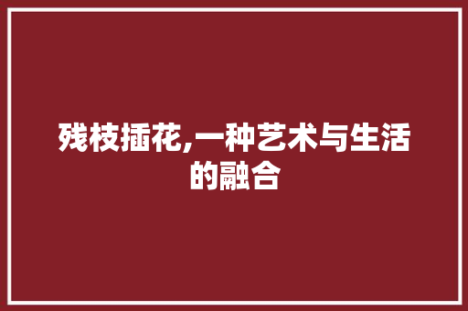 残枝插花,一种艺术与生活的融合 土壤选择