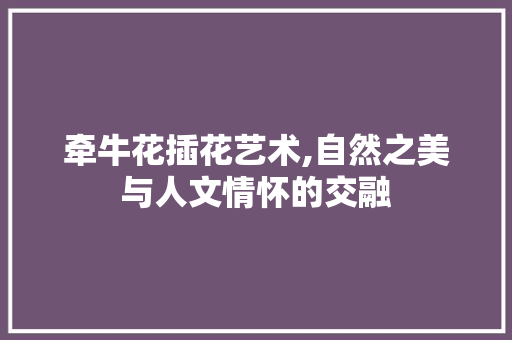 牵牛花插花艺术,自然之美与人文情怀的交融