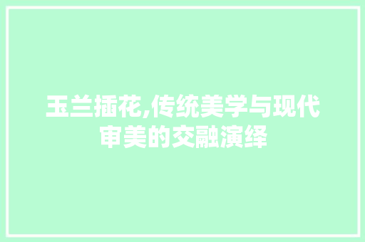 玉兰插花,传统美学与现代审美的交融演绎