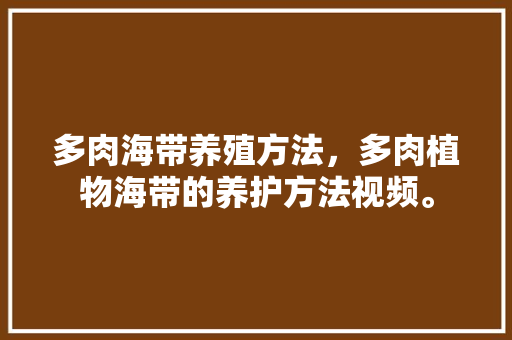 多肉海带养殖方法，多肉植物海带的养护方法视频。