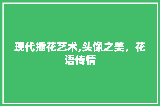 现代插花艺术,头像之美，花语传情 灌溉方法