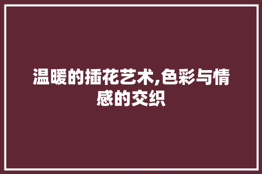 温暖的插花艺术,色彩与情感的交织 土壤管理