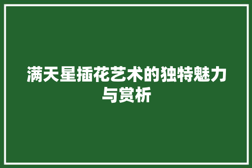 满天星插花艺术的独特魅力与赏析