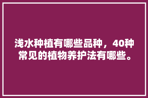 浅水种植有哪些品种，40种常见的植物养护法有哪些。