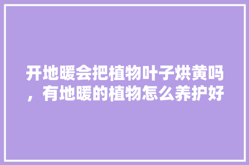 开地暖会把植物叶子烘黄吗，有地暖的植物怎么养护好。