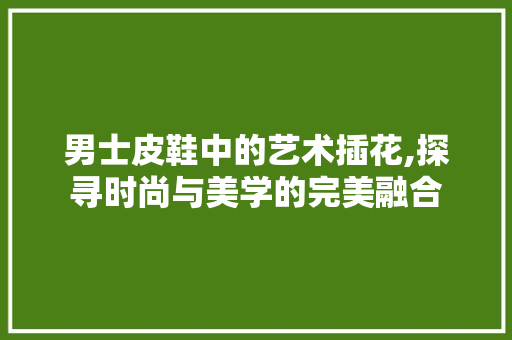 男士皮鞋中的艺术插花,探寻时尚与美学的完美融合