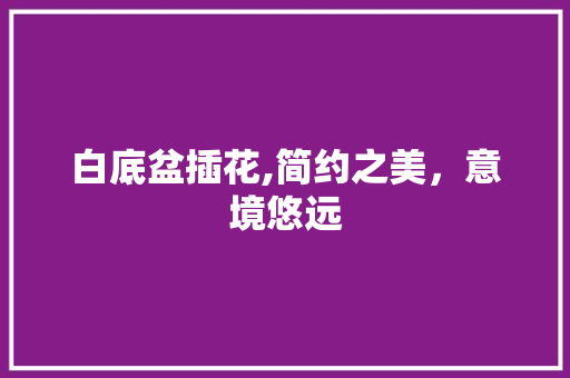 白底盆插花,简约之美，意境悠远