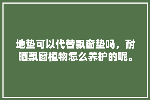 地垫可以代替飘窗垫吗，耐晒飘窗植物怎么养护的呢。