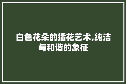 白色花朵的插花艺术,纯洁与和谐的象征