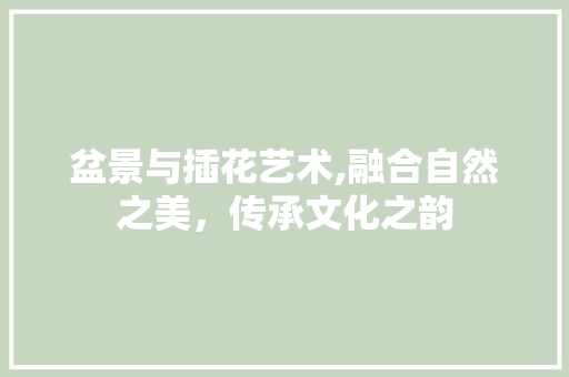 盆景与插花艺术,融合自然之美，传承文化之韵 施肥方法