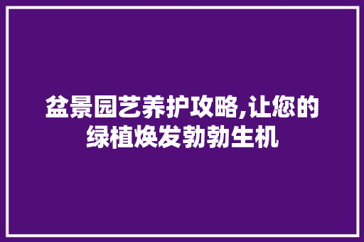 盆景园艺养护攻略,让您的绿植焕发勃勃生机 观叶植物