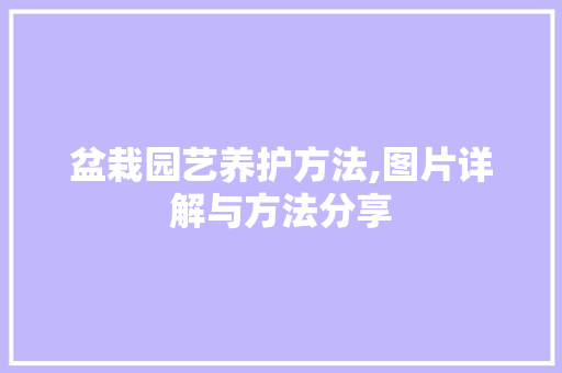 盆栽园艺养护方法,图片详解与方法分享