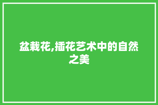 盆栽花,插花艺术中的自然之美