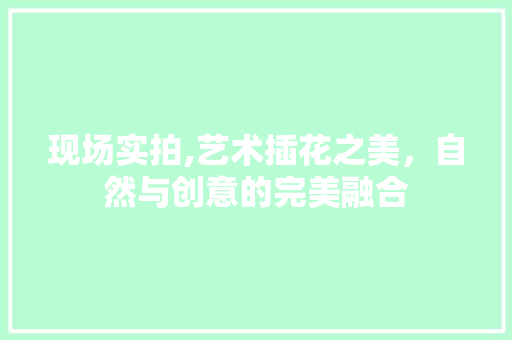现场实拍,艺术插花之美，自然与创意的完美融合 灌溉方法
