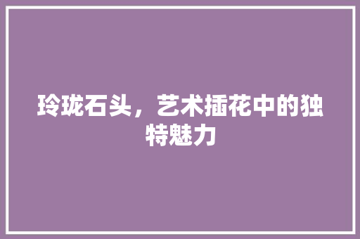 玲珑石头，艺术插花中的独特魅力 植物分类