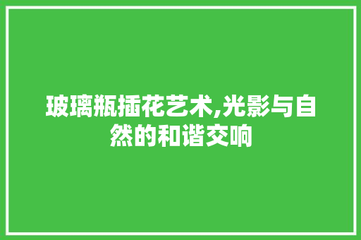 玻璃瓶插花艺术,光影与自然的和谐交响