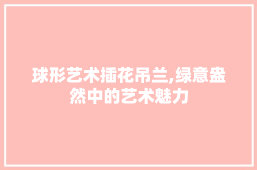 球形艺术插花吊兰,绿意盎然中的艺术魅力
