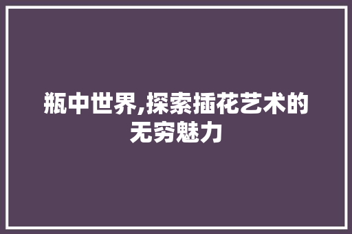 瓶中世界,探索插花艺术的无穷魅力 土壤管理