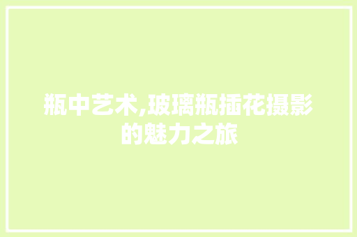 瓶中艺术,玻璃瓶插花摄影的魅力之旅