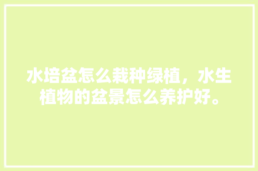 水培盆怎么栽种绿植，水生植物的盆景怎么养护好。  第1张 水培盆怎么栽种绿植，水生植物的盆景怎么养护好。 植物养护