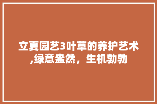 立夏园艺3叶草的养护艺术,绿意盎然，生机勃勃