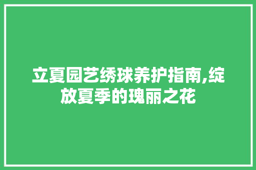 立夏园艺绣球养护指南,绽放夏季的瑰丽之花
