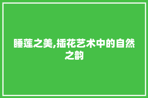 睡莲之美,插花艺术中的自然之韵