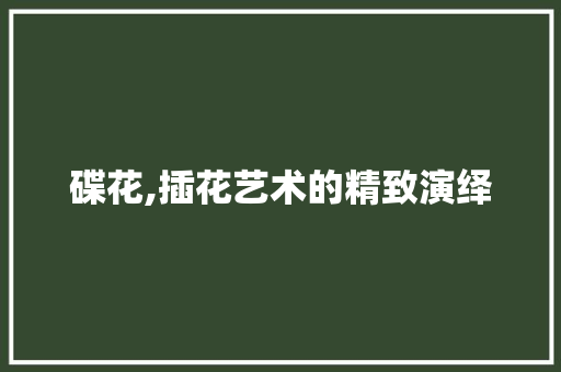 碟花,插花艺术的精致演绎