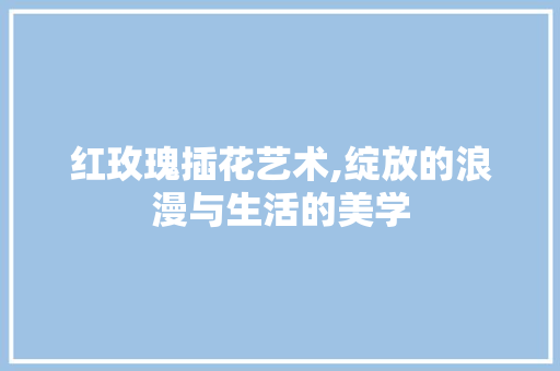 红玫瑰插花艺术,绽放的浪漫与生活的美学