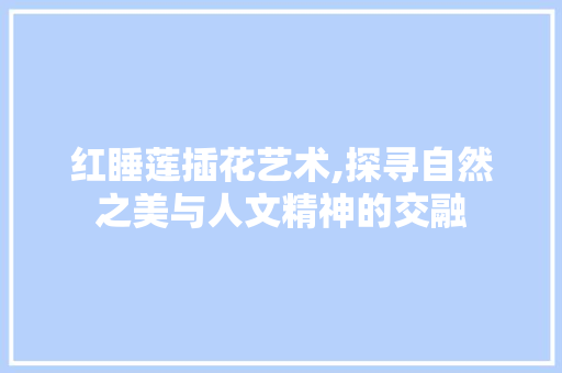 红睡莲插花艺术,探寻自然之美与人文精神的交融