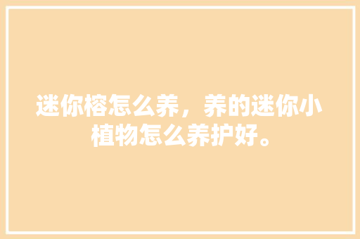 迷你榕怎么养，养的迷你小植物怎么养护好。