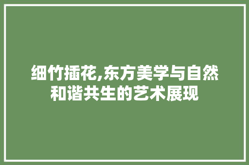 细竹插花,东方美学与自然和谐共生的艺术展现