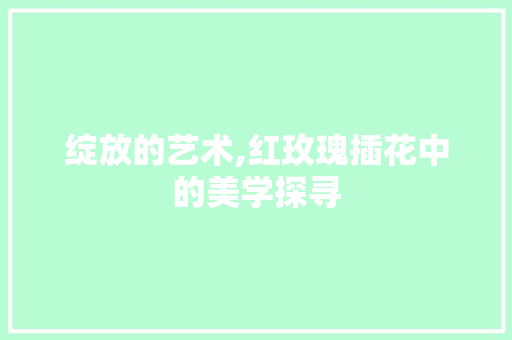 绽放的艺术,红玫瑰插花中的美学探寻