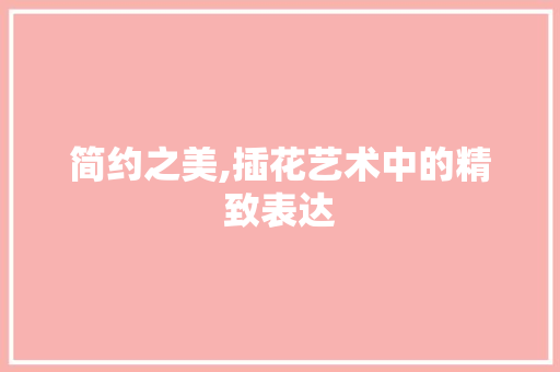 简约之美,插花艺术中的精致表达 灌溉方法