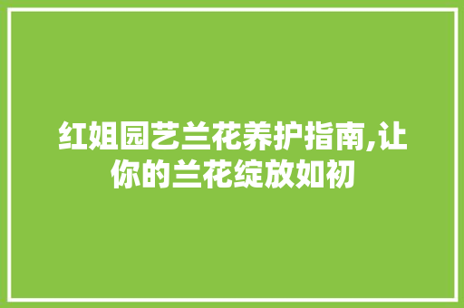 红姐园艺兰花养护指南,让你的兰花绽放如初