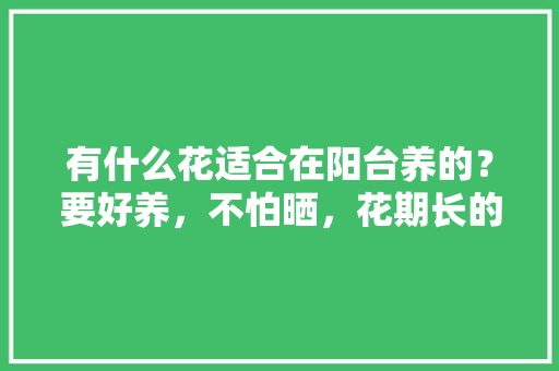 有什么花适合在阳台养的？要好养，不怕晒，花期长的，阳台养护的植物图片大全大图。