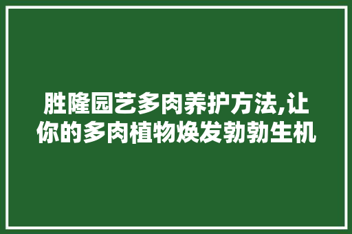 胜隆园艺多肉养护方法,让你的多肉植物焕发勃勃生机