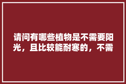 请问有哪些植物是不需要阳光，且比较能耐寒的，不需要养护的地被植物有哪些。  第1张 请问有哪些植物是不需要阳光，且比较能耐寒的，不需要养护的地被植物有哪些。 施肥方法